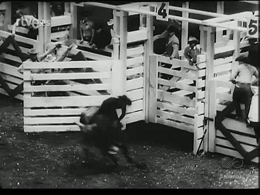 Revista Imágenes - GANADOS Y VAQUEROS