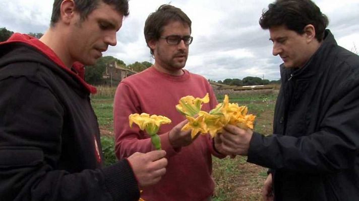 Comando Actualidad - ¿Esto cómo se come?