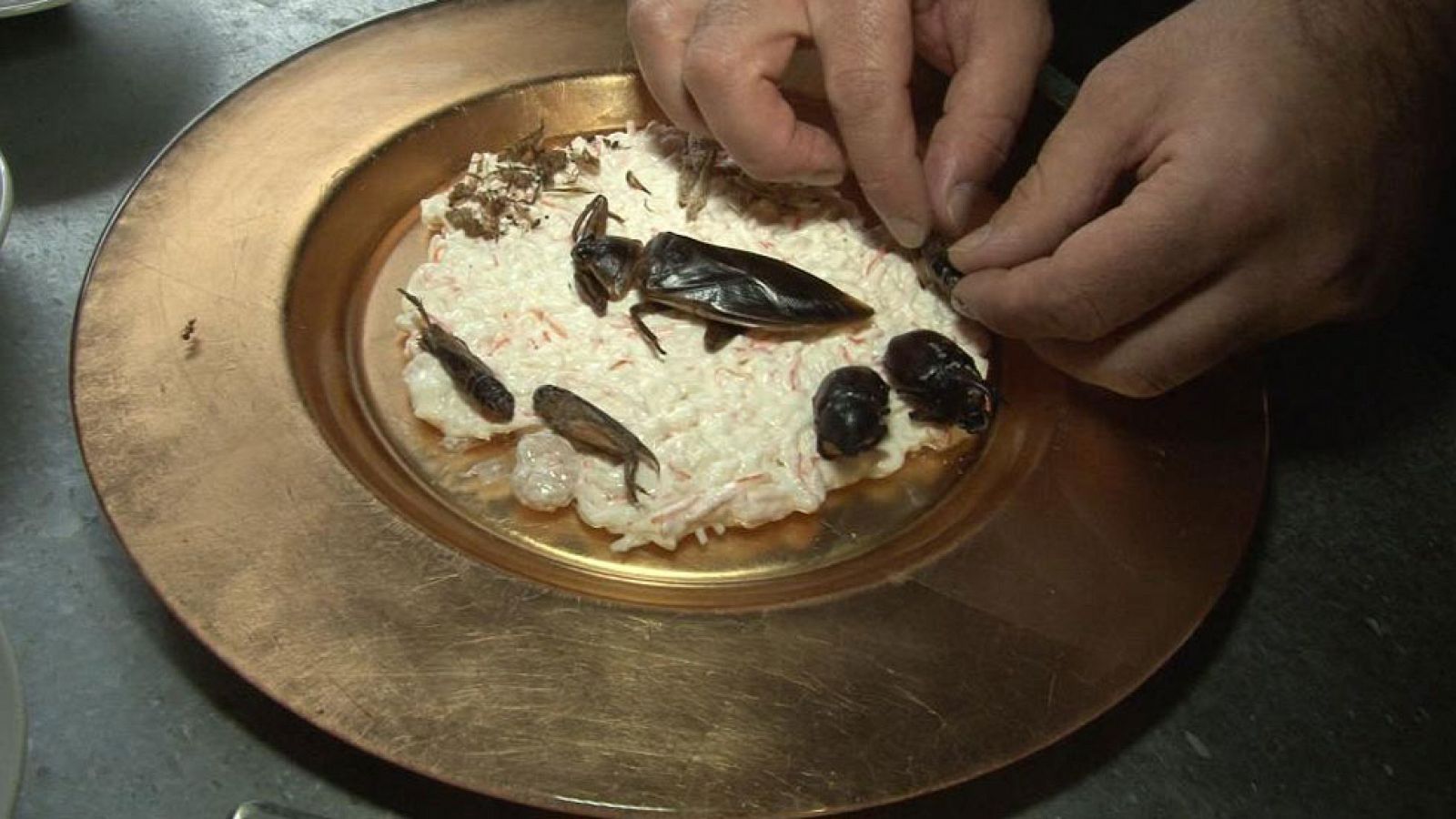 Comando actualidad - ¿Esto cómo se come? - Insectos y picante extremo