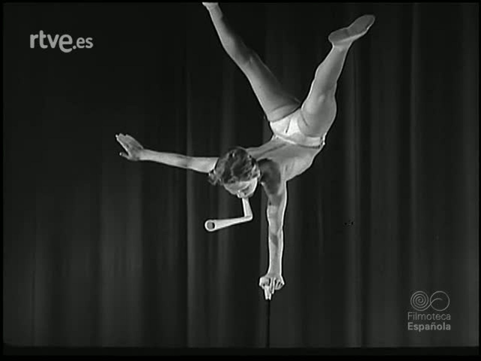 CIRCO Y ZOOLOGIA - Revista Imágenes | Ver