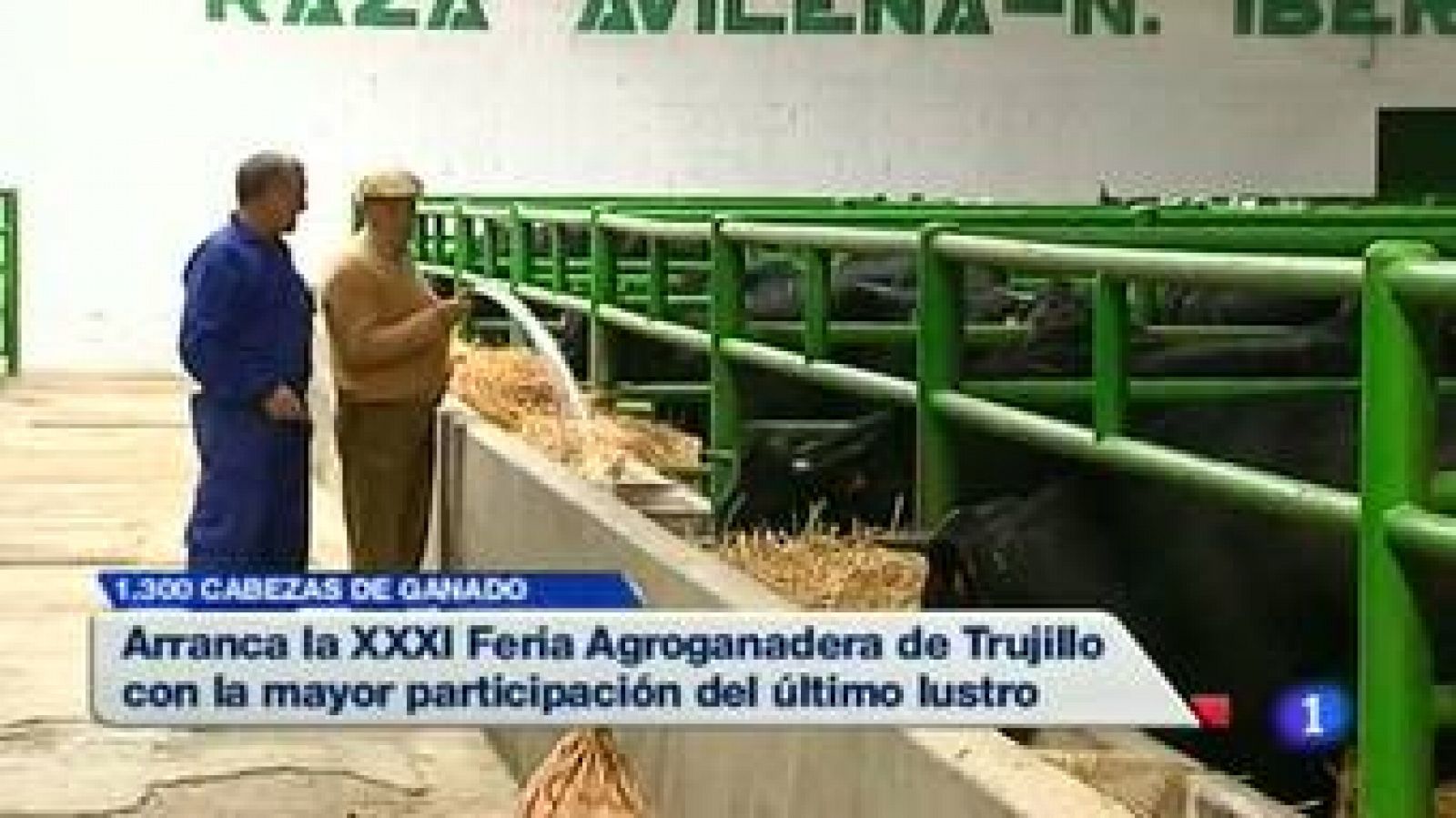 Extremadura en 2' - 13/11/14 | Ver