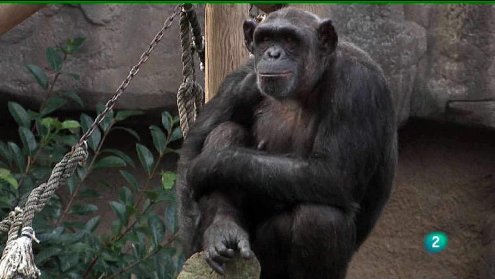 La Aventura del Saber. Fundación Barcelona Zoo