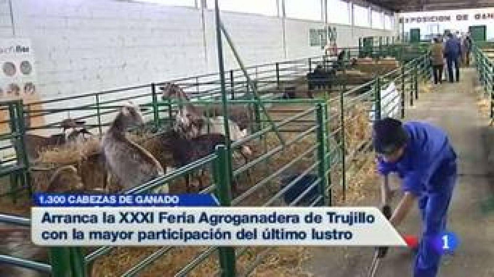 Noticias de Extremadura: Noticias de Extremadura - 13/11/14 | RTVE Play