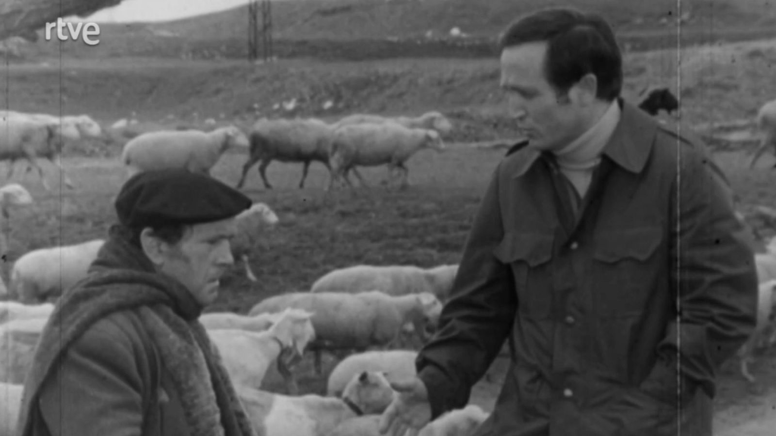 Crónicas de un pueblo - El viajero de la sonrisa