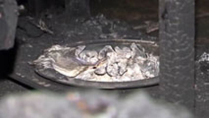 Telediario 1 - Los expertos insisten en la necesidad de estar alerta