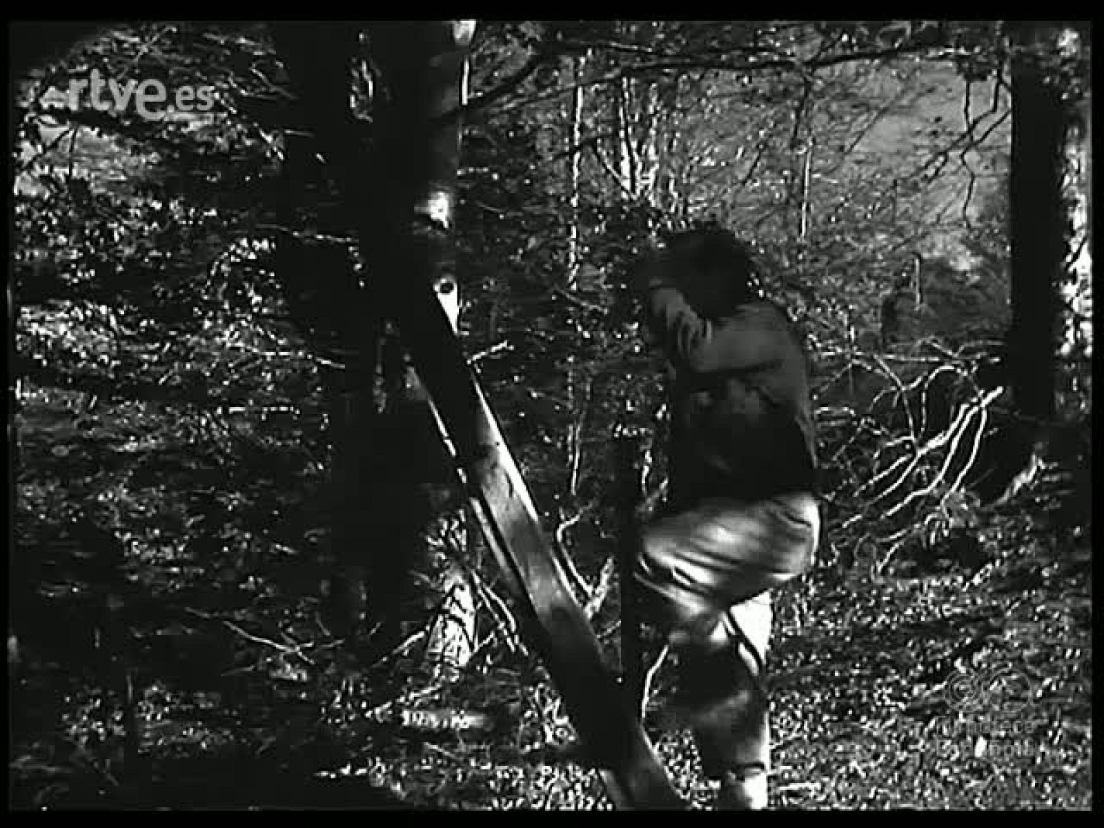 ESCENAS DE CAZA - Revista Imágenes | Ver