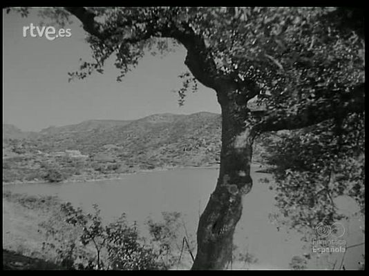 Revista Imágenes - MONTERIA EN SIERRA MORENA