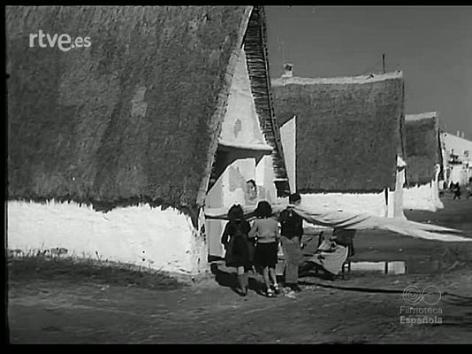 Revista Imágenes - REDES Y ARPONES