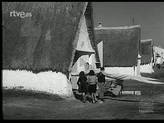 Revista Imágenes - REDES Y ARPONES