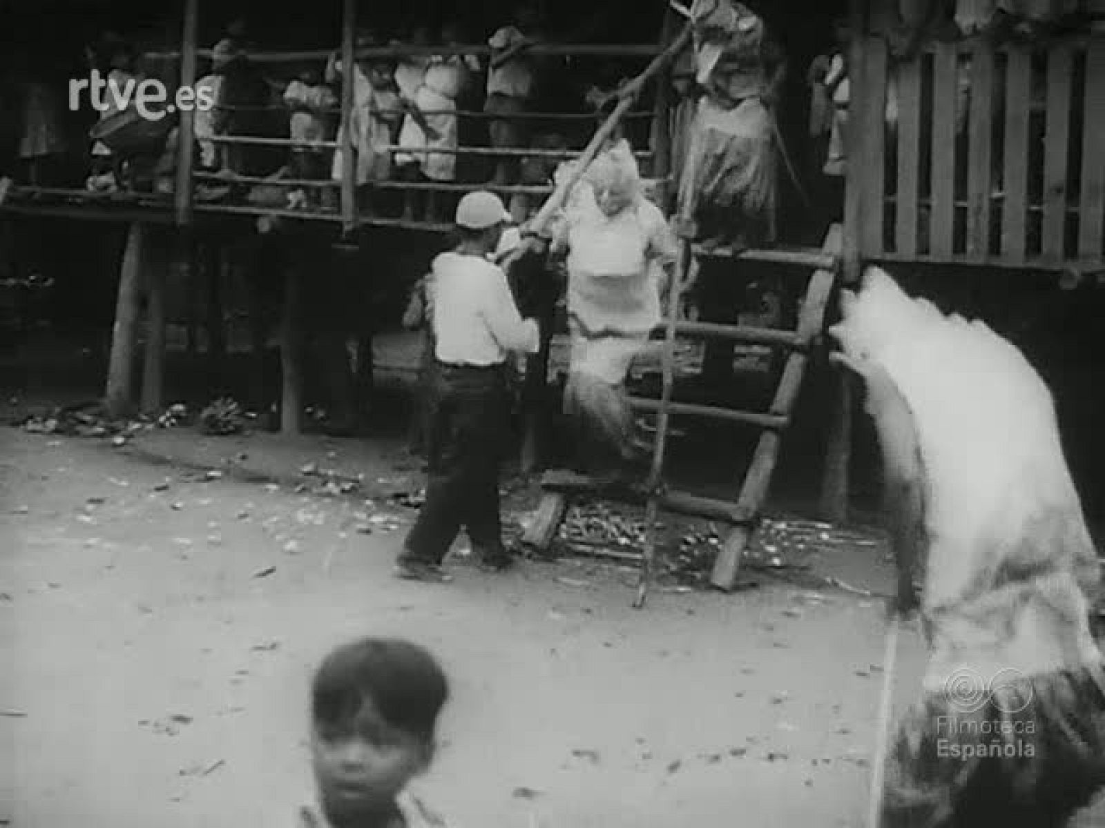 RITOS Y FIESTAS - Revista Imágenes | Ver