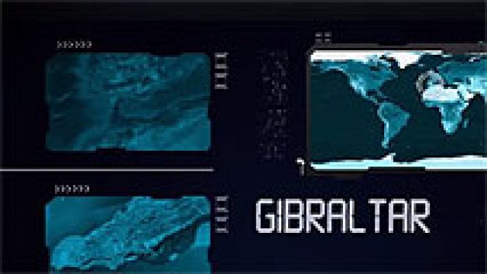 T con T - Golpe al tabaco ilegal (3ª parte)