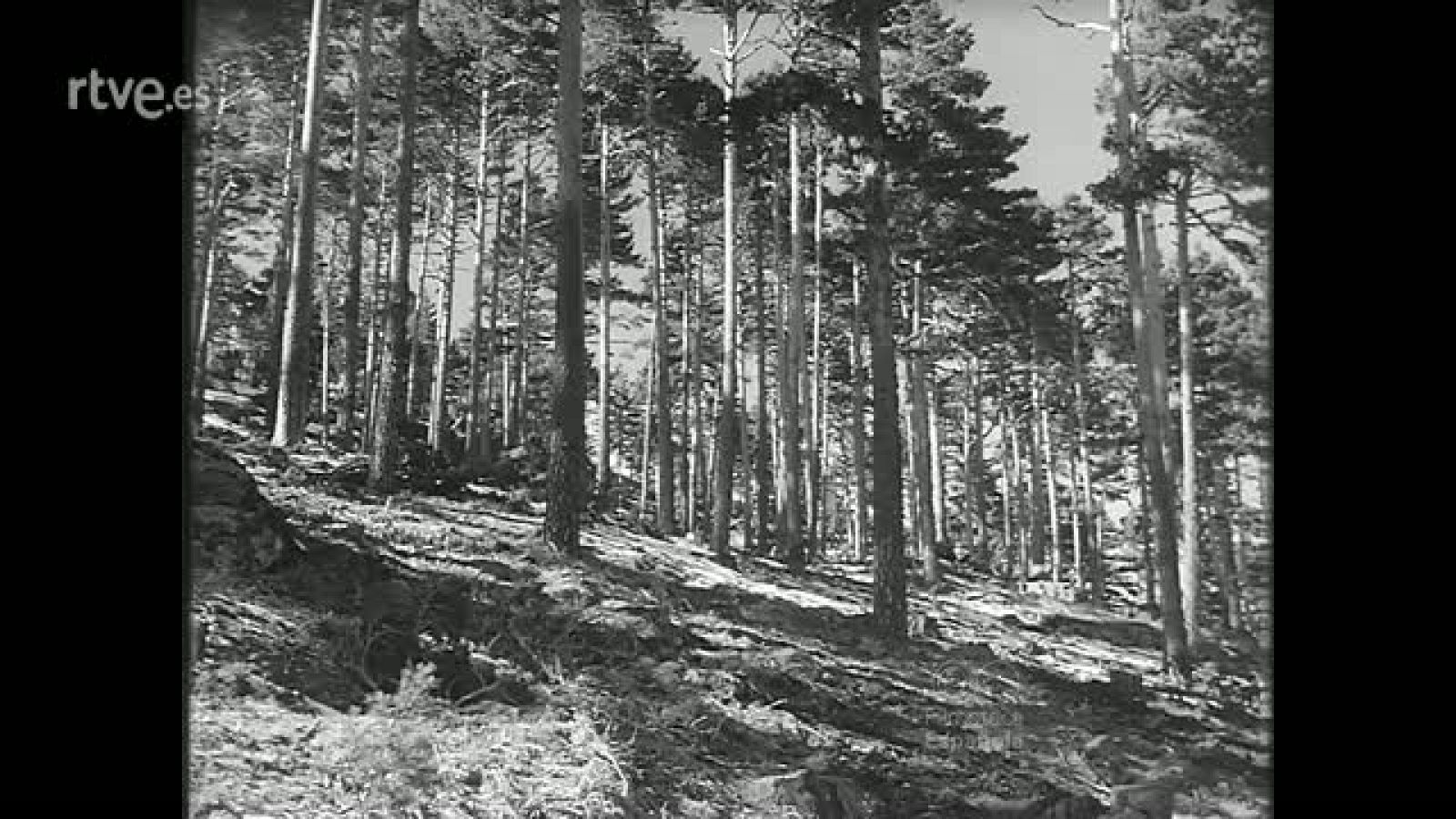 MOTIVOS SEGOVIANOS - Revista Imágenes | Ver