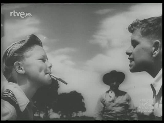 Revista Imágenes - ESTAMPAS CIRCENSES