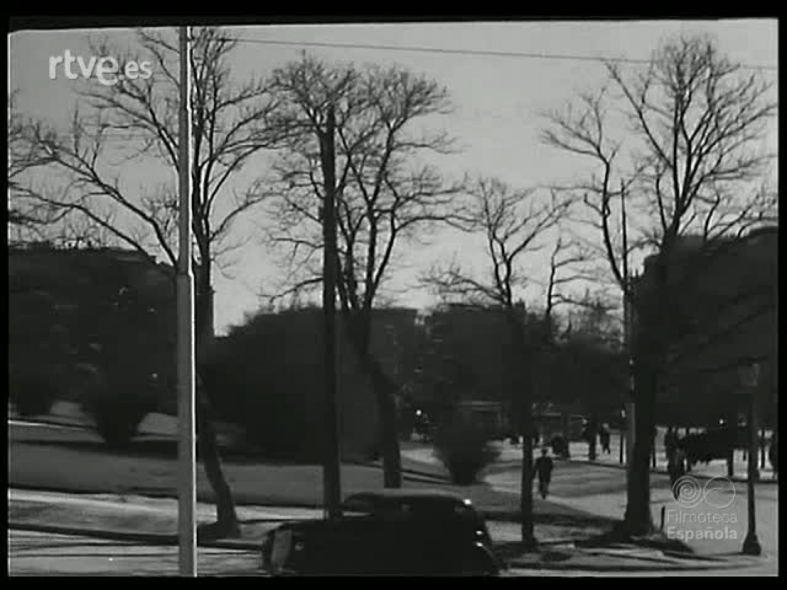 TIERRA MADRE - Revista Imágenes | Ver