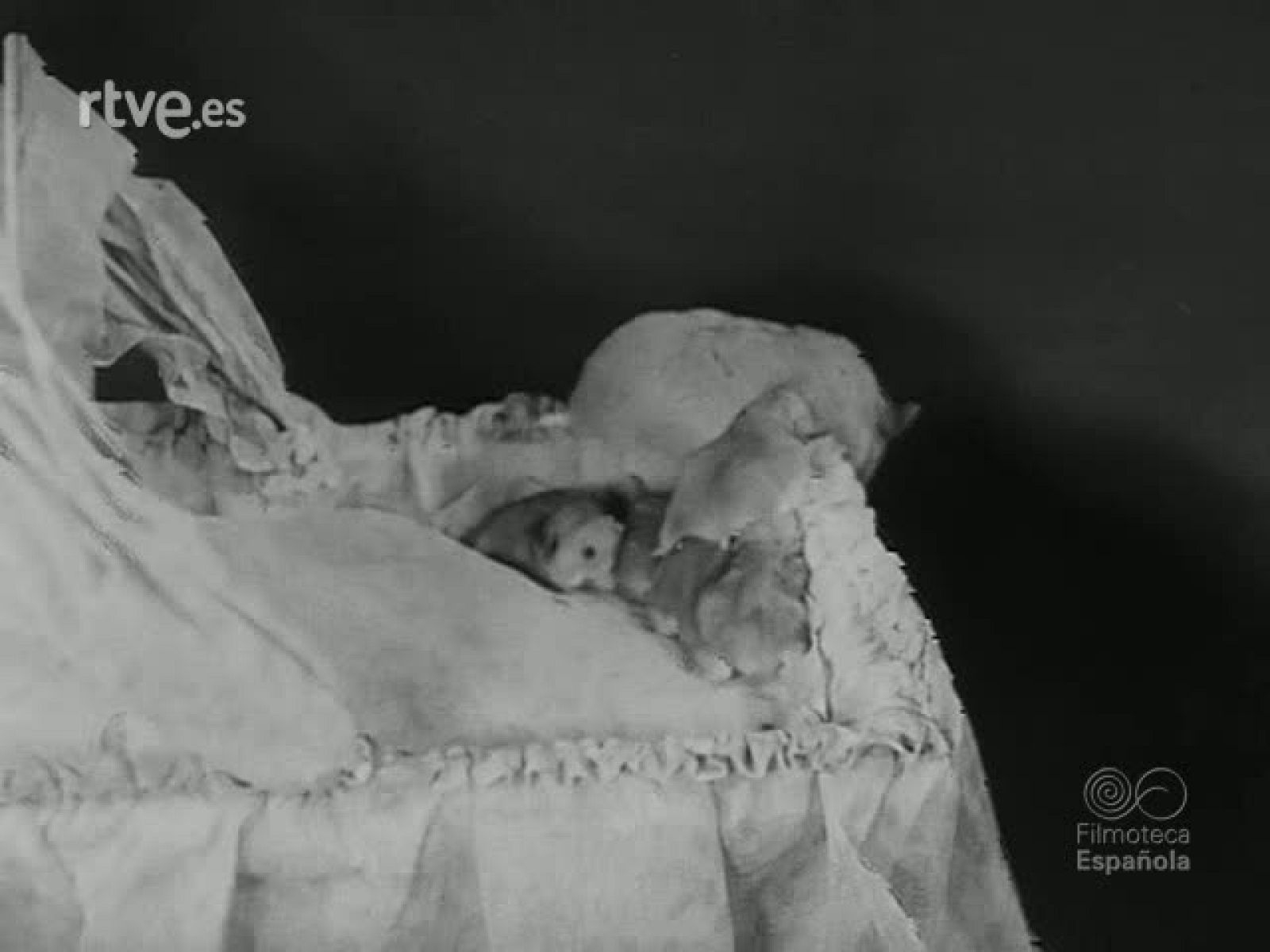 REPERTORIO ZOOLOGICO - Revista Imágenes | Ver