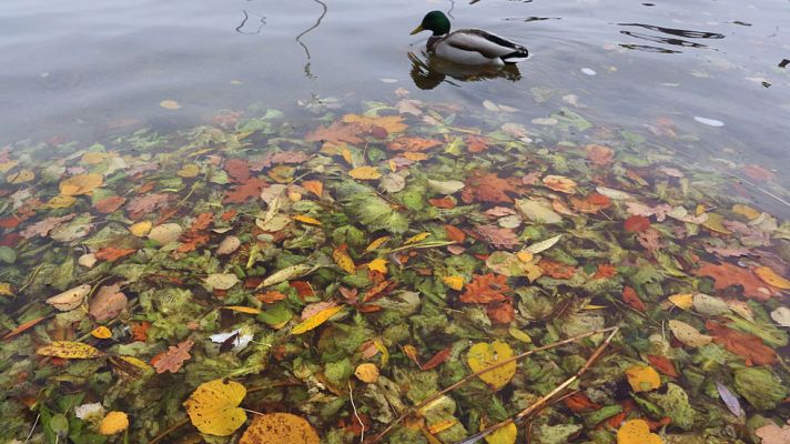 El tiempo - Viento fuerte en Galicia y Cantábrico