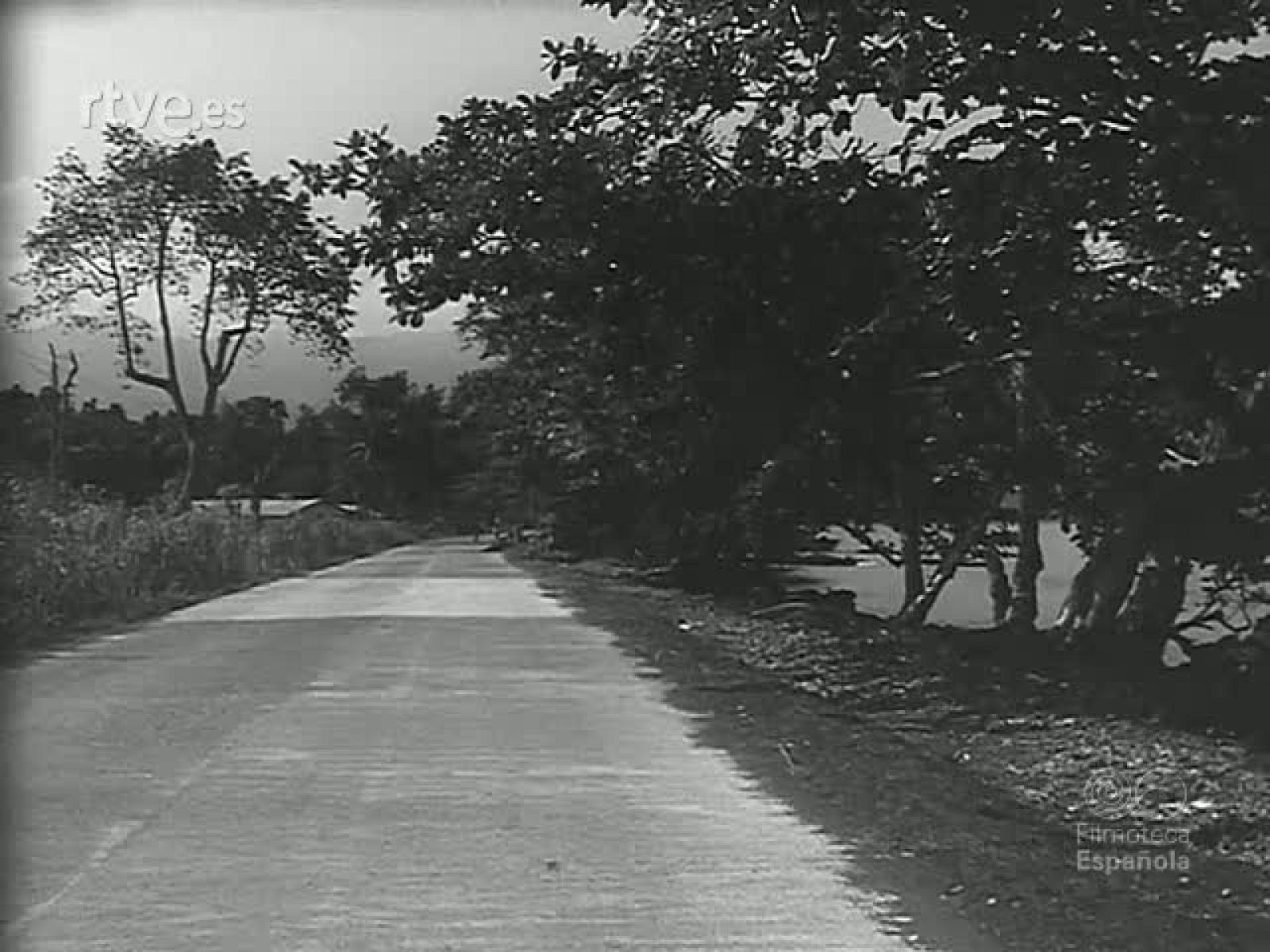 EN EL GOLFO DE GUINEA - Revista Imágenes | Ver