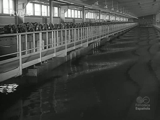 Revista Imágenes - INGENIOS Y ARMAS