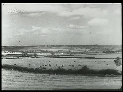 EL GANADO Y SU RIQUEZA