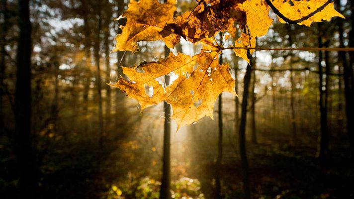 El tiempo - Vientos fuertes en zonas del litoral y montañas en el norte