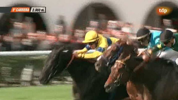 Turf - Turf - 16/11/14