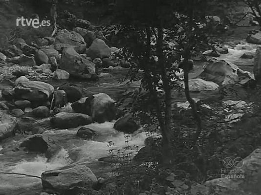 Revista Imágenes - DEL MONTE AL MAR