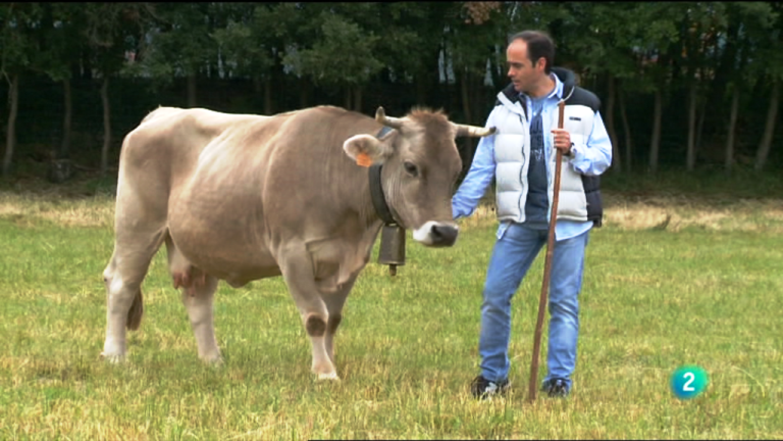 Fábrica de ideas - Imita: Central de reservas | Ver