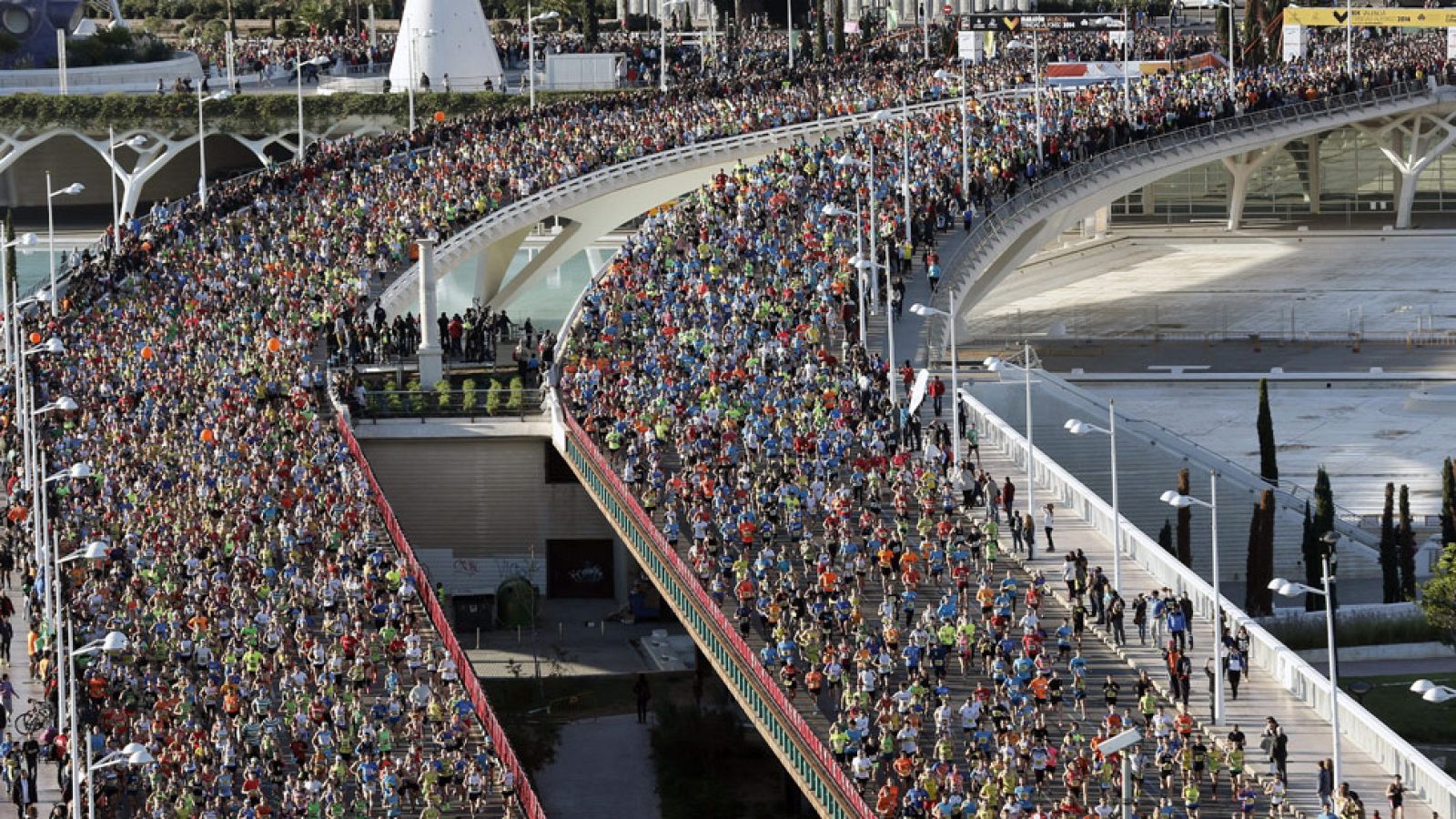 Atletismo - Maratón Trinidad Alfonso desde Valencia - 16/11/14