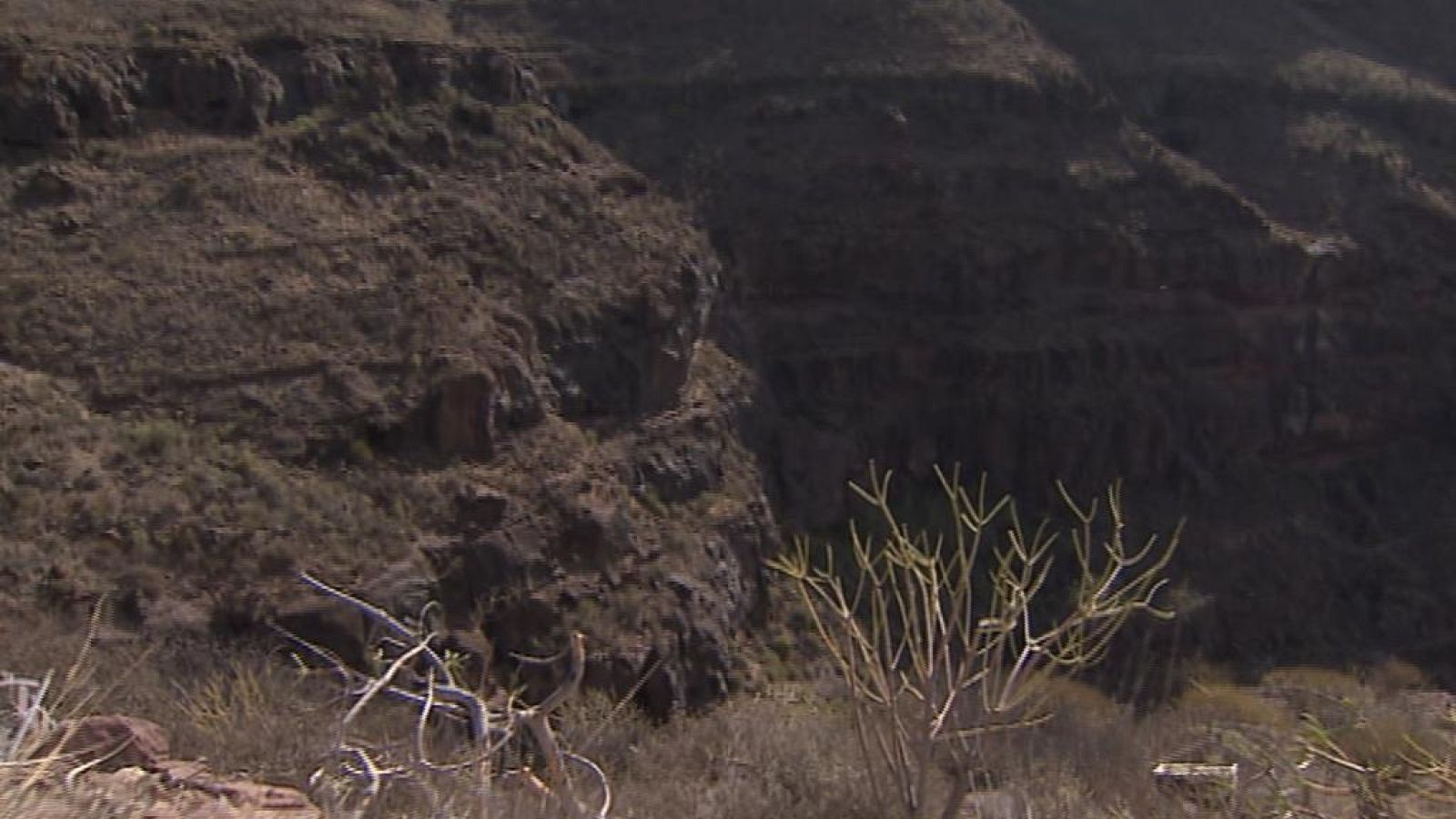 Canarias en 2'- 17/11/14 | Ver