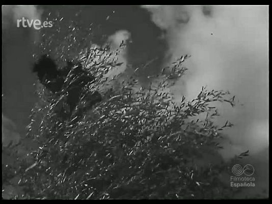 Revista Imágenes - RUTAS GALAICAS