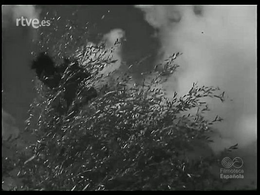 Revista Imágenes - RUTAS GALAICAS