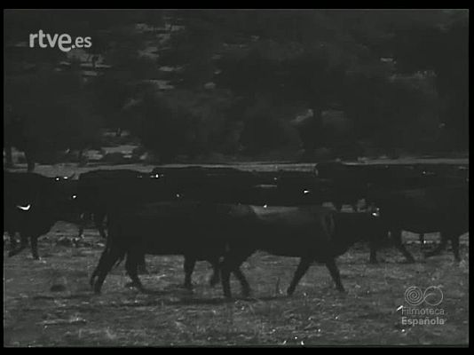 Revista Imágenes - CORDOBA Y LOS TOREROS. HOMENAJE A MANOLETE