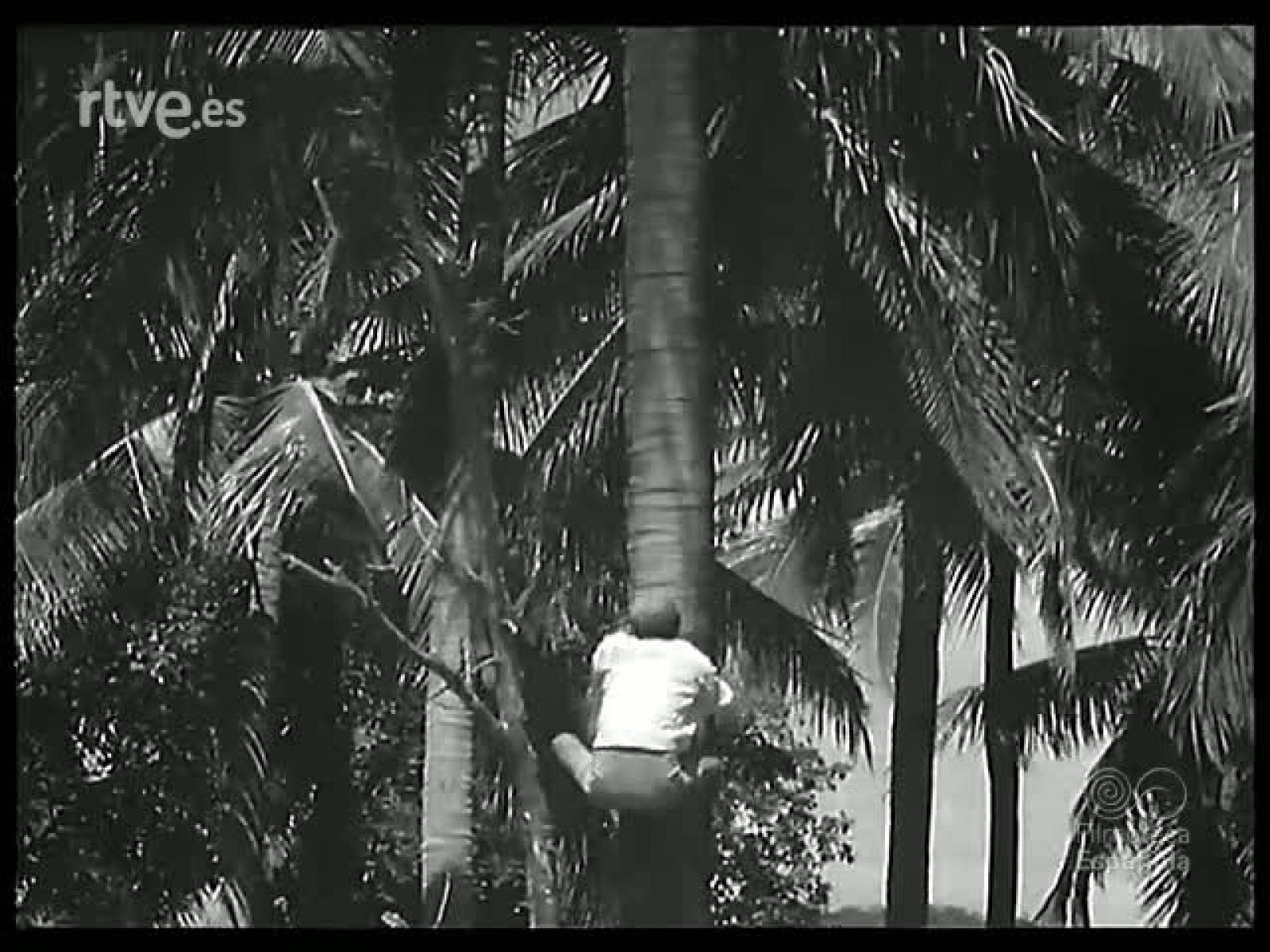 MOSAICO FILIPINO - Revista Imágenes | Ver