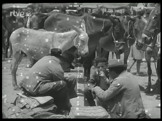 Revista Imágenes - A FEIRA DE CORDOVA E A ROMARIA DO ROCIO