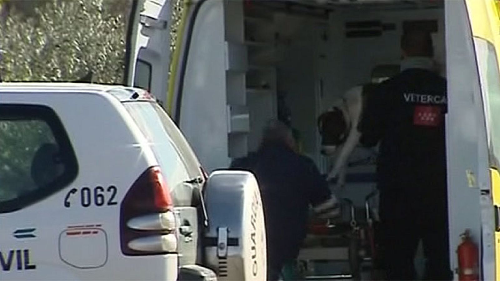 T con T - Tres pitbull atacan a un hombre en Torrelaguna (Madrid)