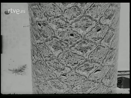 Revista Imágenes - EL IRAN: TEMA PALPITANTE