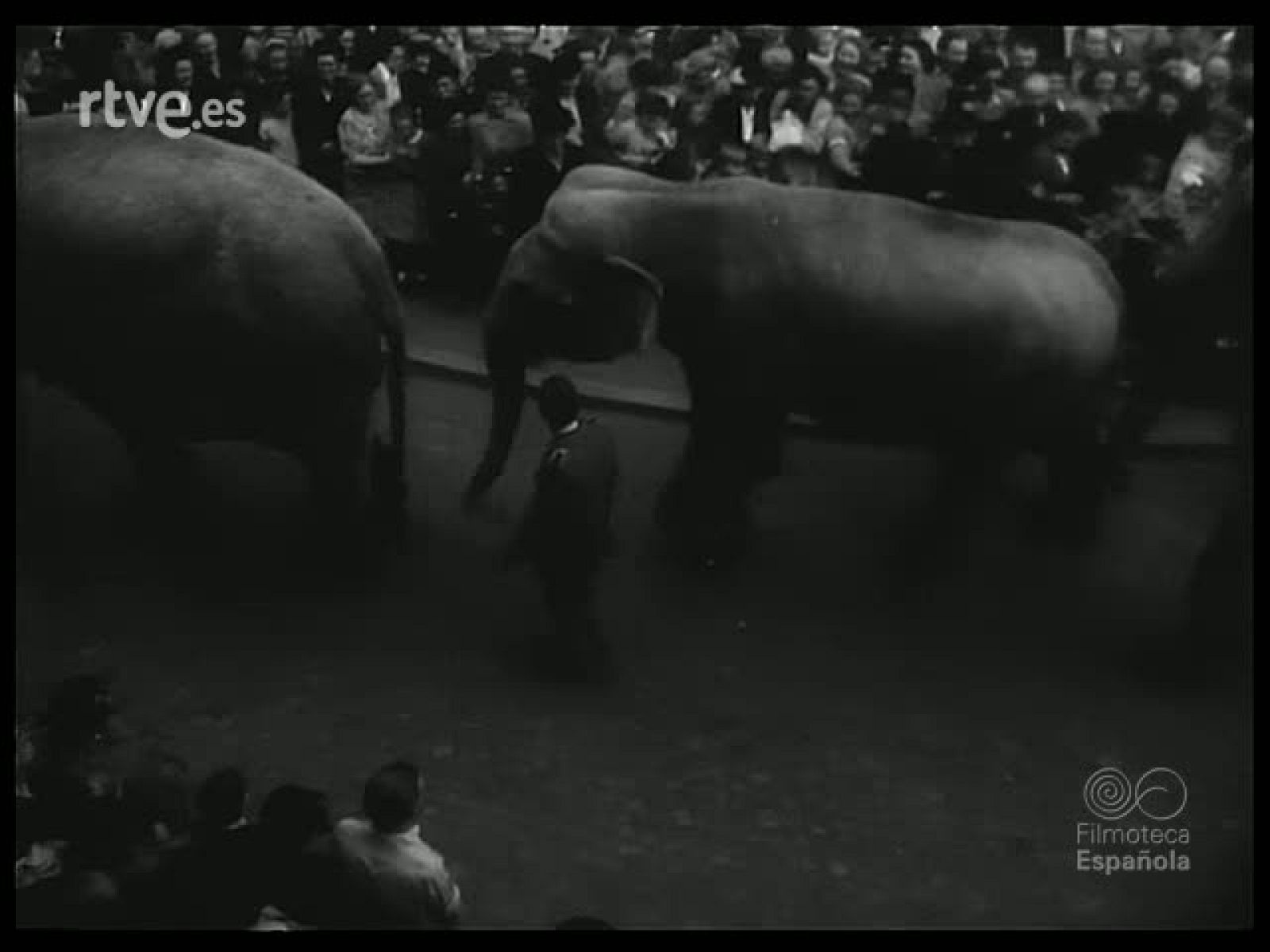 FANTASIA CIRCENSE - Revista Imágenes | Ver