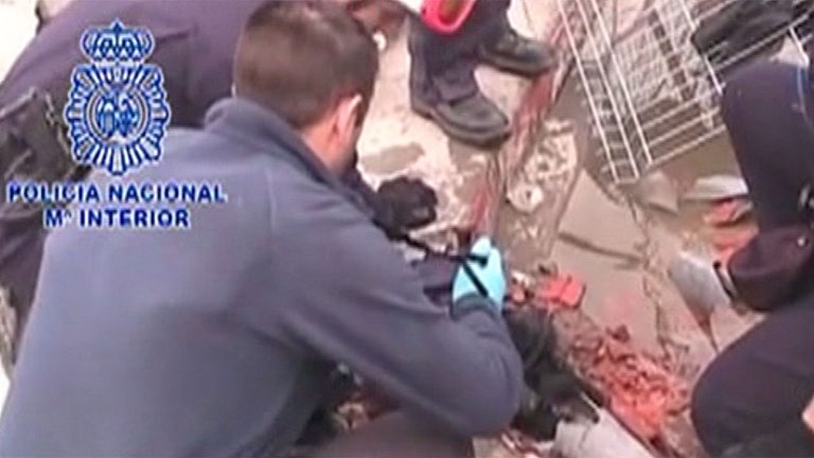 T con T - Droga en la Cañada Real (3ª parte)