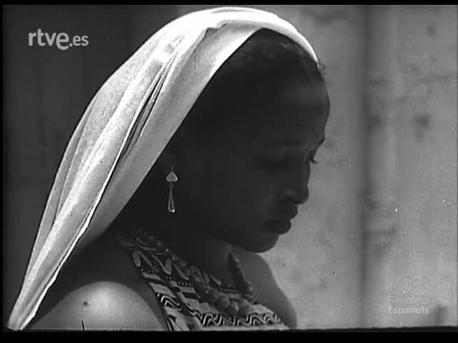 GRACIA ZOOLOGICA - Revista Imágenes | Ver