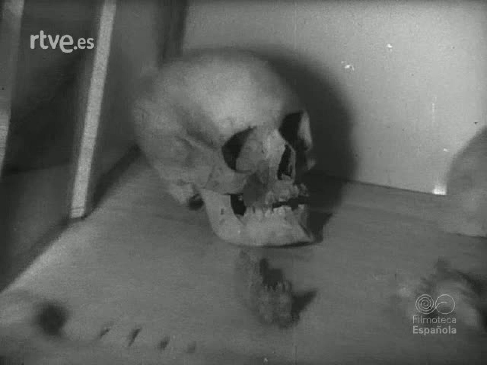 ESTUDIOS DE ESPELEOLOGIA - Revista Imágenes | Ver