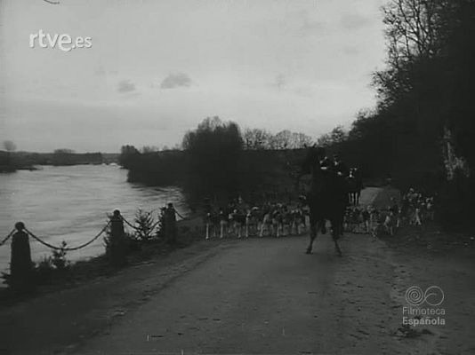 Revista Imágenes - FAUNA EN MOVIMIENTO