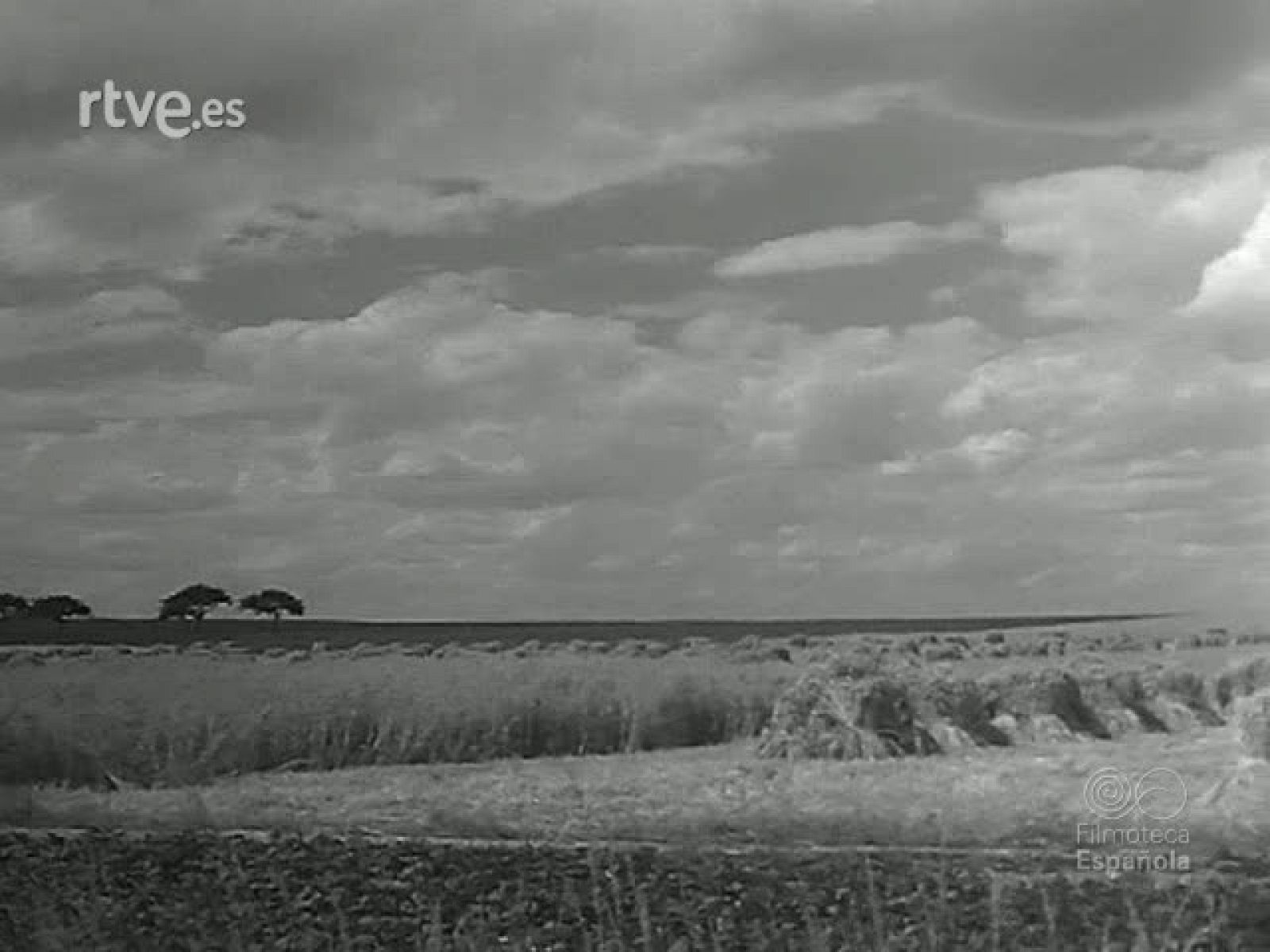 MONUMENTO DE FE. LA CATEDRAL DE CHARTRES - Revista Imágenes | Ver