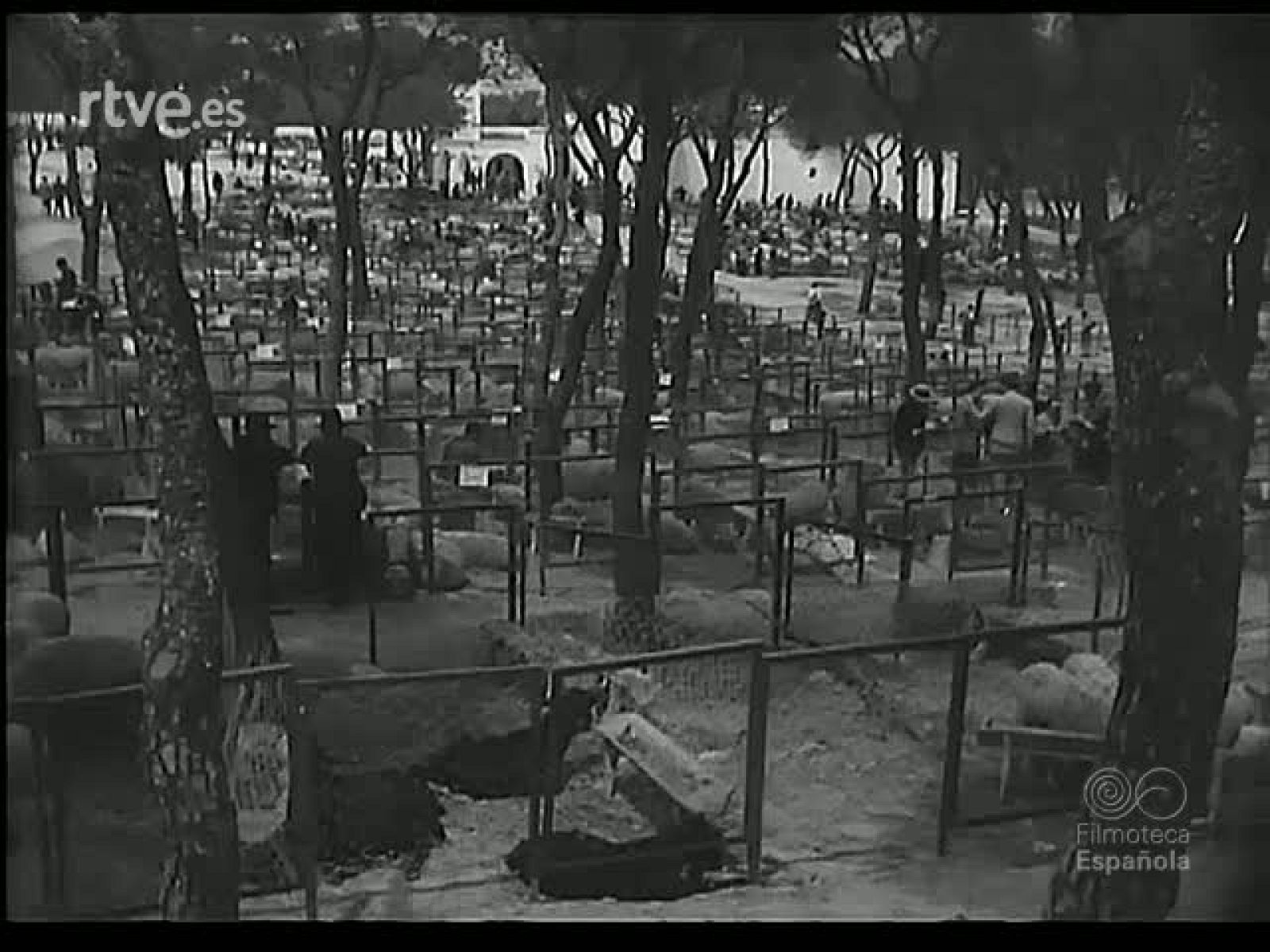 LA FERIA DEL CAMPO - Revista Imágenes | Ver