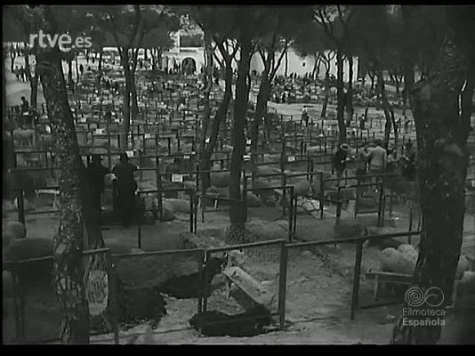 Revista Imágenes - LA FERIA DEL CAMPO