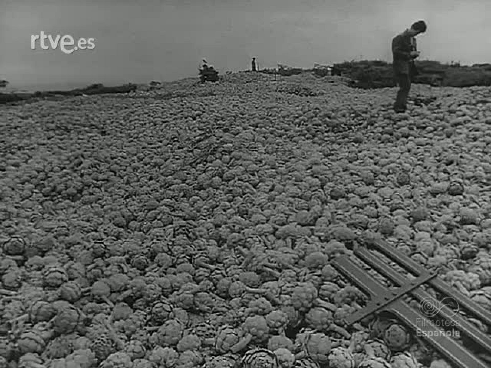 INQUIETUDES EUROPEAS - Revista Imágenes | Ver