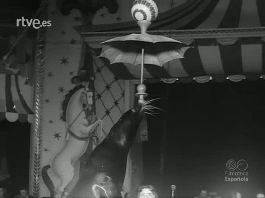 Revista Imágenes - NUMEROS DE CIRCO