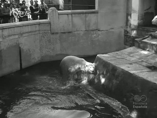 Revista Imágenes - DEL ZOOLOGICO A LA PAMPA