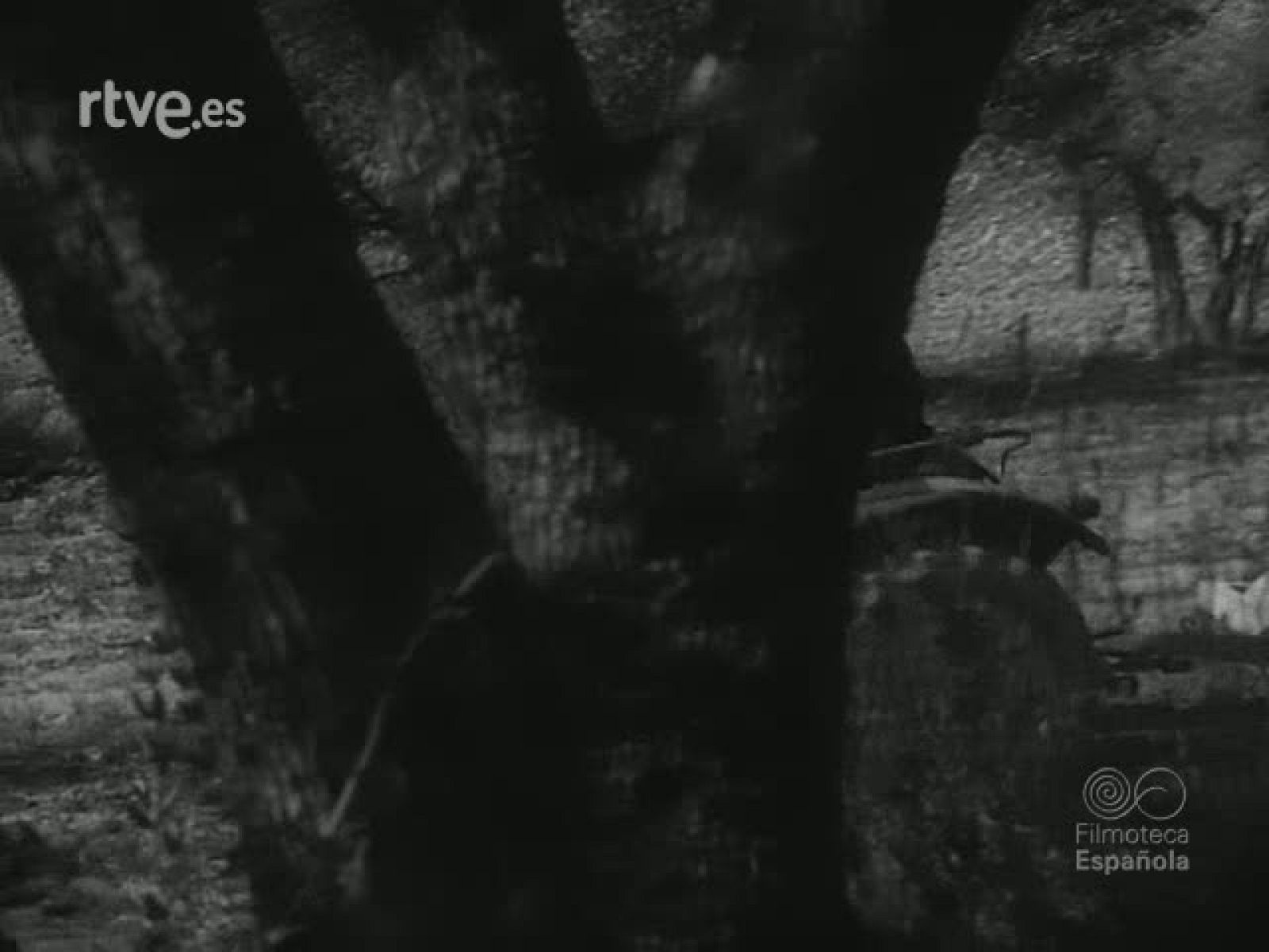 LA PASION EN CERVERA - Revista Imágenes | Ver