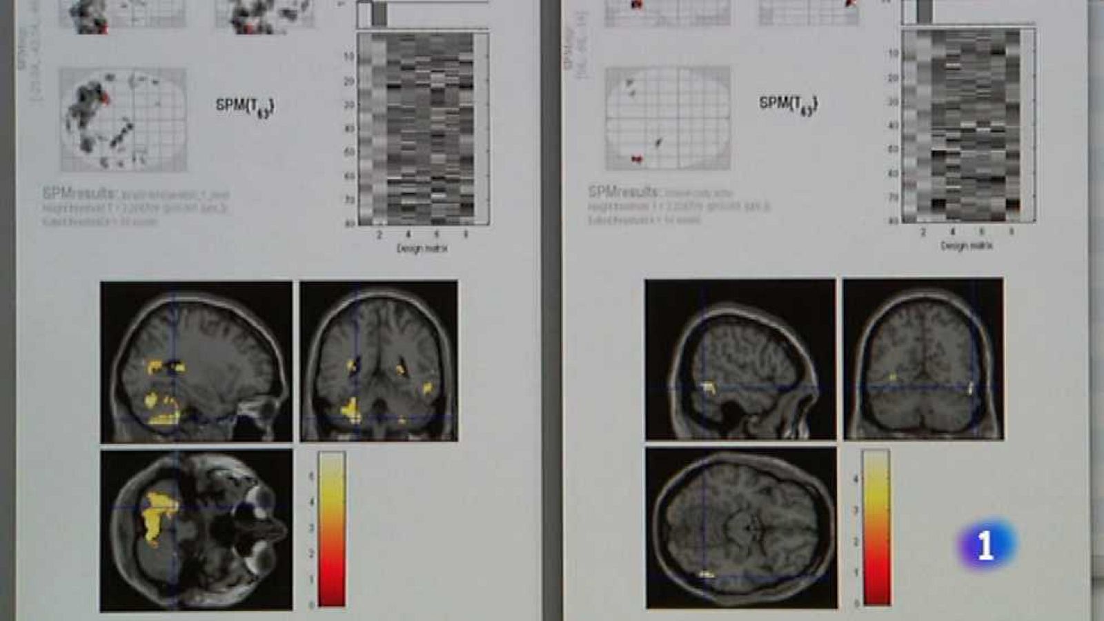 L'Informatiu - Comunitat Valenciana 2 - 20/11/14 - Ver ahora