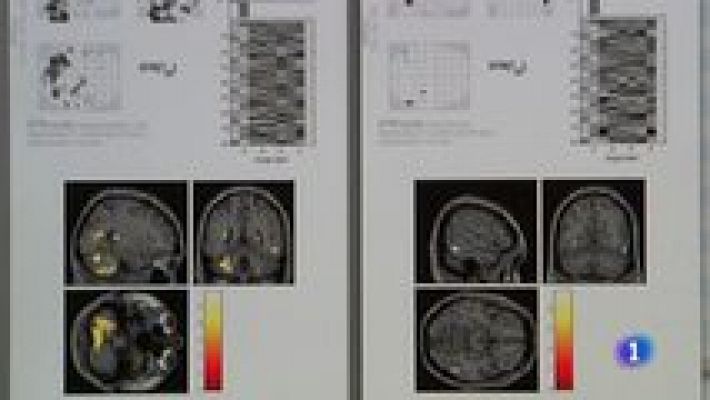 L'informatiu - Comunitat Valenciana - L'Informatiu - Comunitat Valenciana 2 - 20/11/14